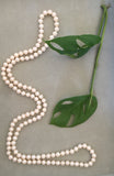 Long small White Freshwater Pearl Necklace