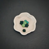 Small Succulent  Ceramic Trinket Dish