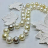 Multi-coloured Gold, Grey and White South Sea Graduated Pearl strand
