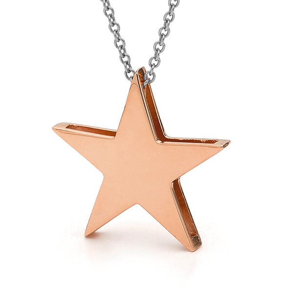 Rose Gold and silver Large Star Necklace